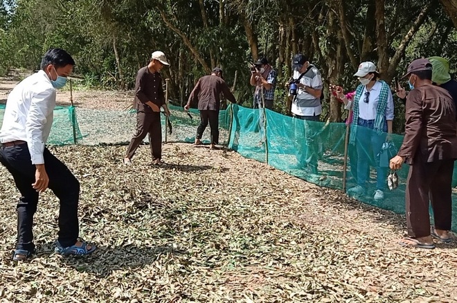 Visitors are excited to watch the removal of scrubs and field mice in Dong Thap - 6