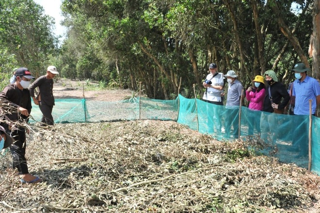 Visitors are excited to watch the removal of scrubs and field mice in Dong Thap - 4