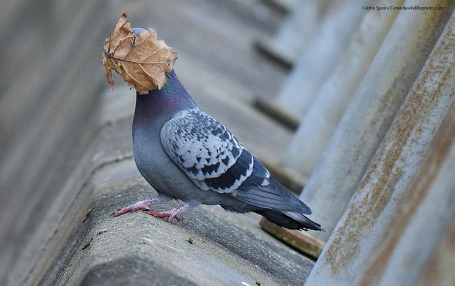 Why is it suddenly so dark? (Photo: John Speirs).