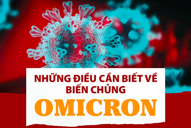 Thủ tướng yêu cầu chuẩn bị phương án chống biến chủng Omicron - 1