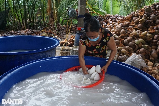 Dozens of steps to make a sweet white coconut rice dish, a specialty of Ben Tre - 4