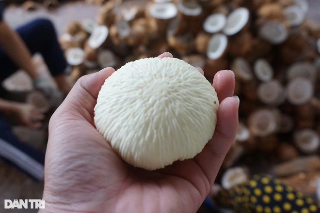 Dozens of steps to make a sweet and white coconut rice dish, a specialty of Ben Tre - 6