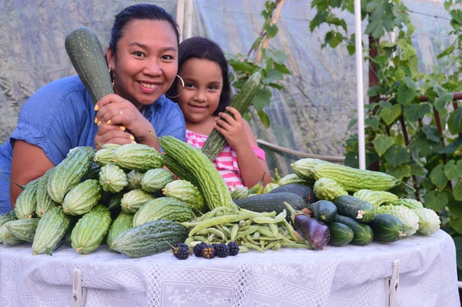 Người phụ nữ cải tạo sân, làm vườn rộng 260m2 trồng rau trái sạch sum suê - 15