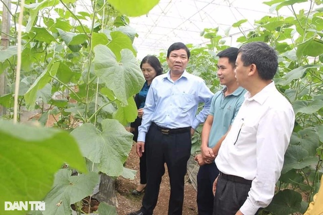 Chàng trai 9x khởi nghiệp từ 3 luống dưa, thu hàng trăm triệu đồng mỗi năm - 6 Chàng trai 9x khởi nghiệp từ 3 luống dưa, thu hàng trăm triệu đồng mỗi năm - 6