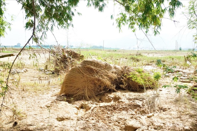 Hà bá phá nát bờ kè, dân lo sợ mất đường vào làng - 8 Hà bá phá nát bờ kè, dân lo sợ mất đường vào làng - 8