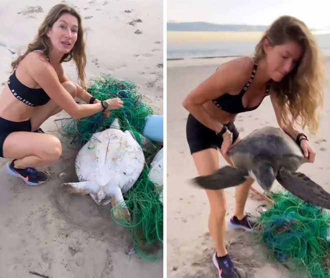 Siêu mẫu Gisele Bundchen nhận về triệu like vì ra tay cứu sống rùa biển - 1