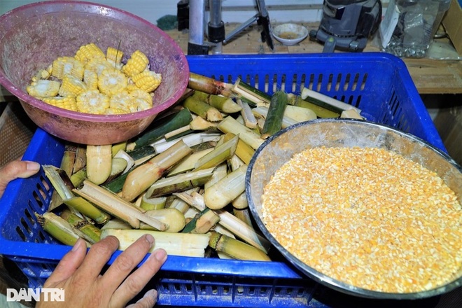Anh nông dân tiết lộ bí quyết nuôi con ăn ngày ngủ đêm cho thu nhập cao - 5 Anh nông dân tiết lộ bí quyết nuôi con ăn ngày ngủ đêm cho thu nhập cao - 5