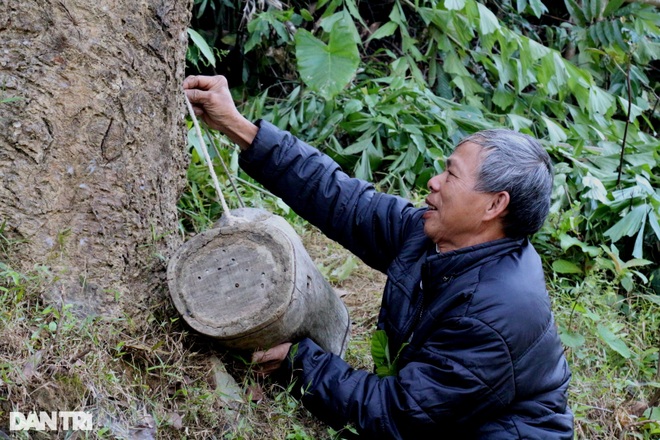 Thợ săn ong sứ nghe tiếng vỗ cánh, chờ tìm chiến binh - 5 Thợ săn ong sứ nghe tiếng vỗ cánh, chờ tìm chiến binh - 5