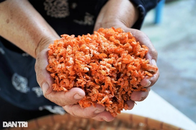 Cụ bà 70 nuôi cả nhà, cả họ nhờ nghề làm tôm khô truyền thống - 5 Cụ bà 70 nuôi cả nhà, cả họ nhờ nghề làm tôm khô truyền thống - 5