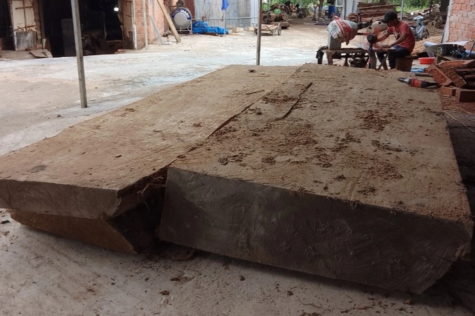 Cơ quan công an lên tiếng việc xử phạt người dân đào gỗ dưới ruộng