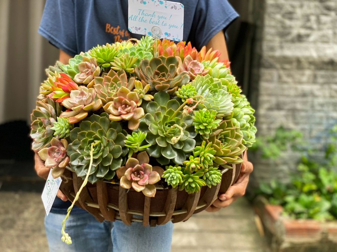 Nhổ sen đá cắm thành bình hoa khủng, giá tiền triệu vẫn hút khách - 5
