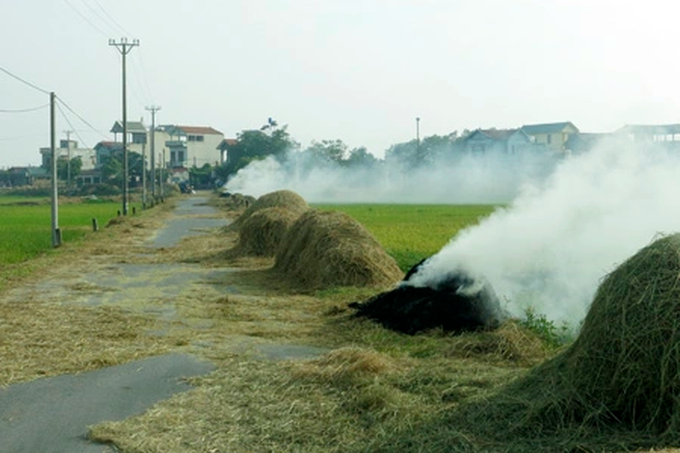 Phơi thóc, rơm trên đường gây mất an toàn giao thông sẽ bị xử phạt thế nào? - 1 Phơi thóc, rơm trên đường gây mất an toàn giao thông sẽ bị xử phạt thế nào? - 1