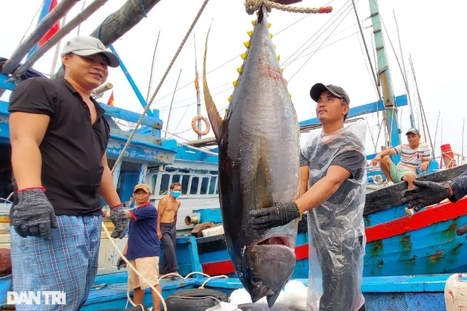 Hàng nghìn tỷ đồng được cam kết rót vào các dự án lớn tại thị xã Hoài Nhơn