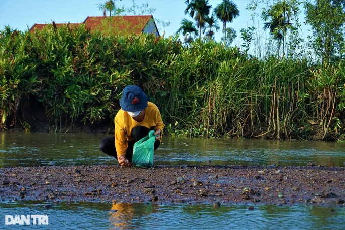 Lội bùn, vạch cỏ tìm loại ốc nhà nghèo, giờ thành đặc sản ra tiền - 7 Lội bùn, vạch cỏ tìm loại ốc nhà nghèo, giờ thành đặc sản ra tiền - 7