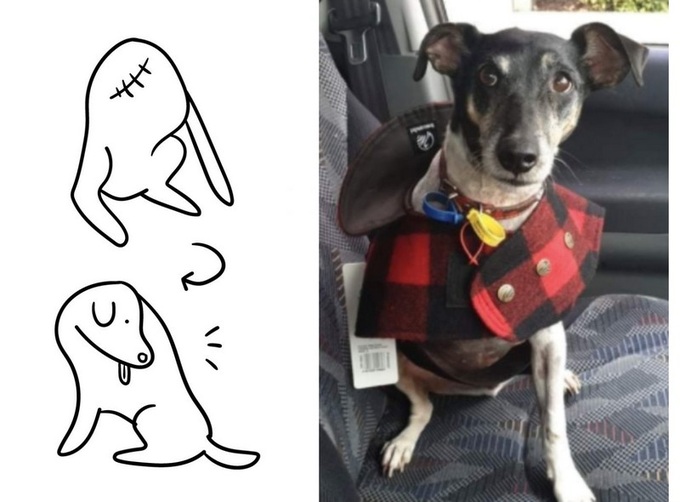 Hình vẽ minh họa về tư thế của chú chó trong bức ảnh được một cư dân mạng chia sẻ (trái) và hình ảnh chú chó 3 chân ở tư thế bình thường (Ảnh: Twitter).