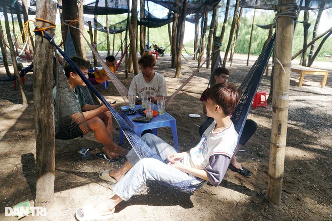 Hanging in a hammock under the casuarina forest, earning half a million dong a day - 5