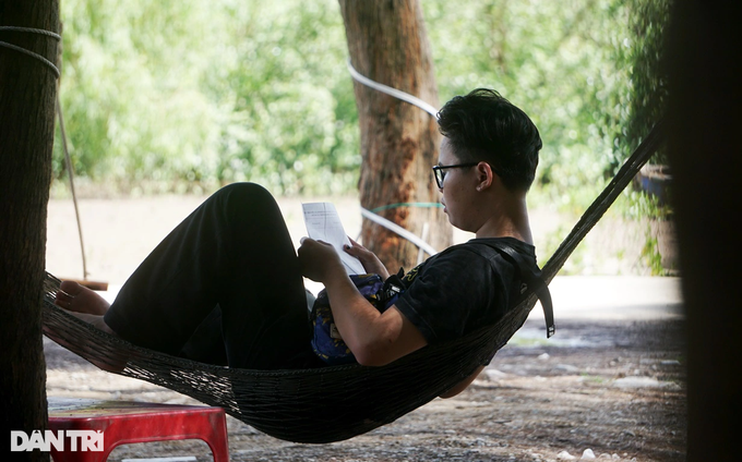 Hanging in a hammock under the casuarina forest, earning half a million dong a day - 8