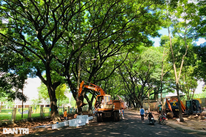 Phó Chủ tịch Buôn Ma Thuột nói về cây xanh bật gốc trên con đường tuyệt đẹp