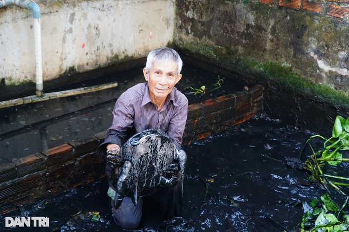 Old farmer raises crabs that lay eggs like chickens, giving high income - 1