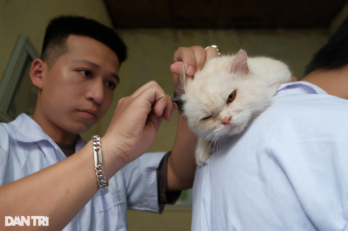 Biệt đội cứu hộ chó mèo đặc biệt ở Hà Nội - 7