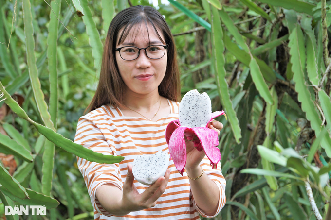 Lão nông sống khỏe nhờ mô hình sáng tạo thanh long ôm mắm - 4 Lão nông sống khỏe nhờ mô hình sáng tạo thanh long ôm mắm - 4