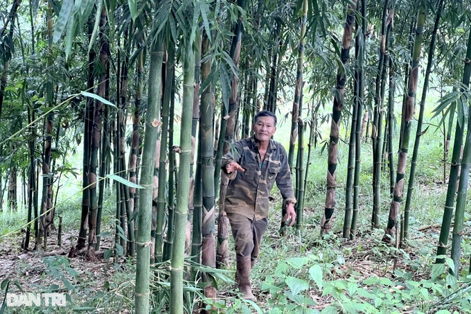 Planting a hundred-burnt tree, the highland farmer earns billions of dollars every month - 3