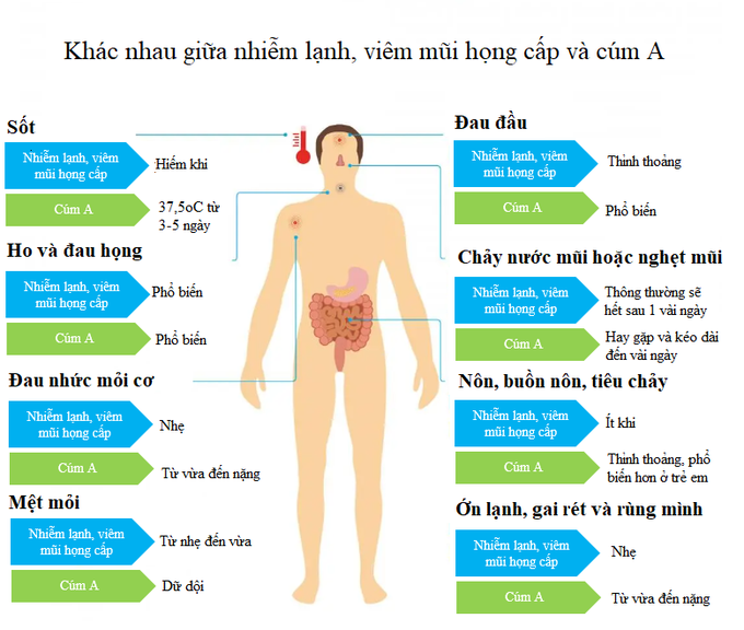 Cúm A và viêm mũi họng cấp - phân biệt như thế nào? - 2