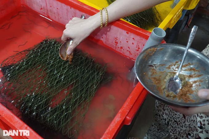 Caring for eels like a baby, the western farmer pocketed millions of dollars every day - 4