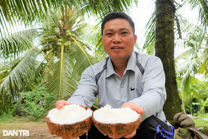 Growing salt-loving coconuts will produce wax, becoming a billionaire after a few years - 2