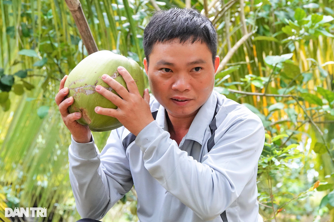 Growing salt-loving coconuts will produce wax, becoming a billionaire after a few years - 7