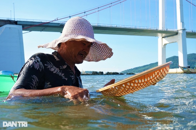 Soak in the Han River, stir the sand to catch the specialty of the king - 10 Soak in the Han River, stir the sand to catch the specialty of the king - 10