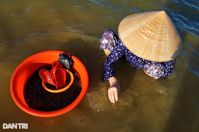 Soaking in the Han River, stirring the sand to catch specialties for the king - 11