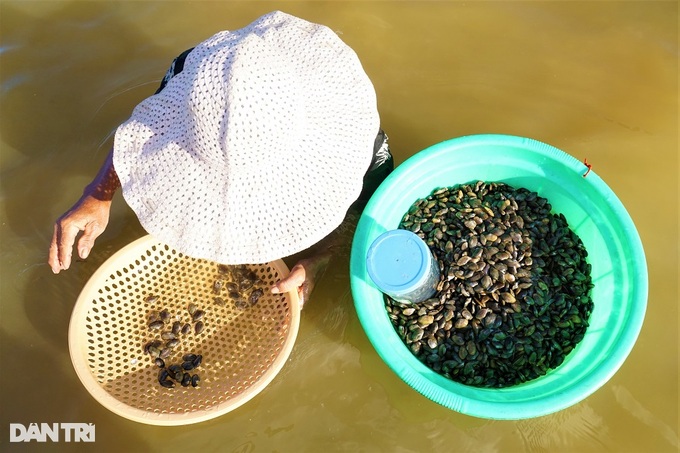 Soak in the Han River, stir the sand to catch the specialty of the king - 5
