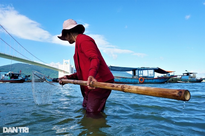 Immerse yourself in the Han River, stir the sand to catch specialties to advance to the king - 6