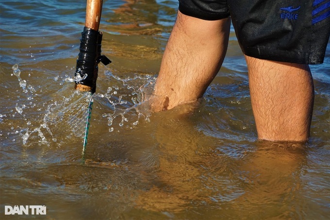 Immerse yourself in the Han River, stir the sand to catch the specialty of the king - 7 Immerse yourself in the Han River, stir the sand to catch the specialty of the king - 7