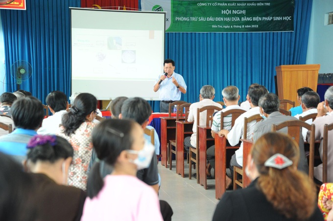 Cùng người dân tỉnh Bến Tre phòng trừ sâu đầu đen hại dừa bằng biện pháp sinh học - 1 Cùng người dân tỉnh Bến Tre phòng trừ sâu đầu đen hại dừa bằng biện pháp sinh học - 1