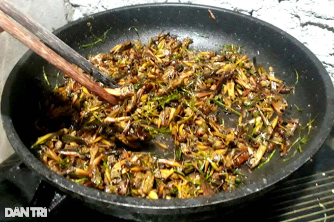 Large selection of flying shrimp market in the suburbs - 6