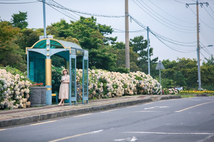 Nhiều du khách Việt bị hủy vé máy bay đến đảo Jeju - 6