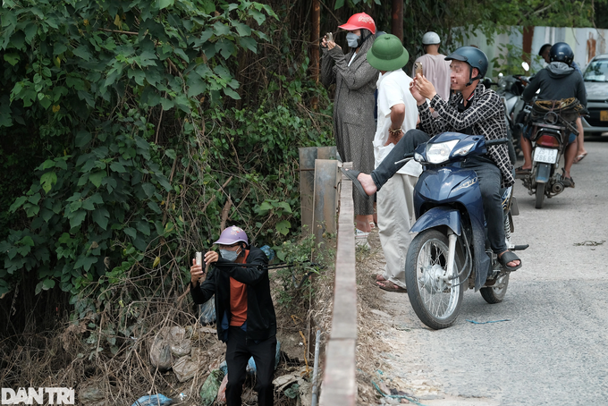 Trèo lên ngọn cây livestream vụ tìm kiếm cô gái mất tích ở Hà Nội - 5