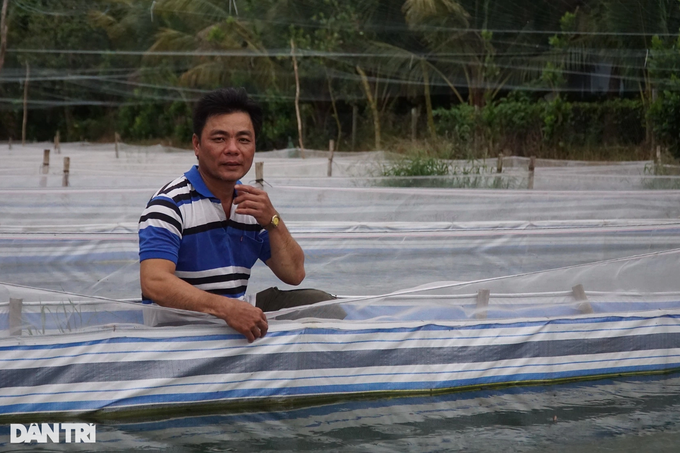 Bán hơn một triệu con ếch giống mỗi năm, thu lãi đậm - 4