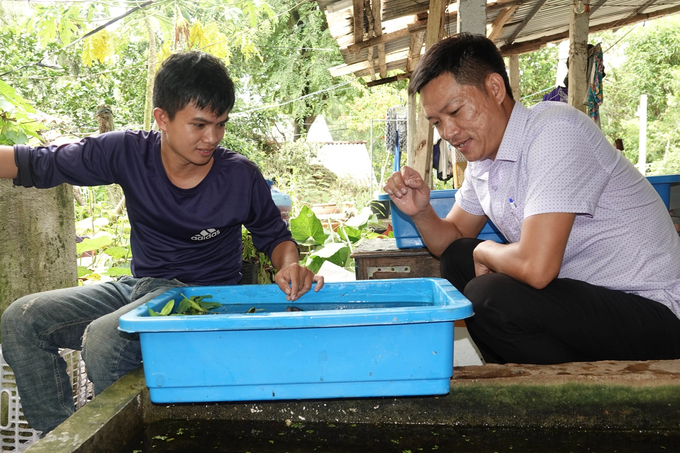 Cử nhân bỏ việc ở phòng lạnh về quê nuôi cá cảnh, tháng lãi hàng chục triệu - 5