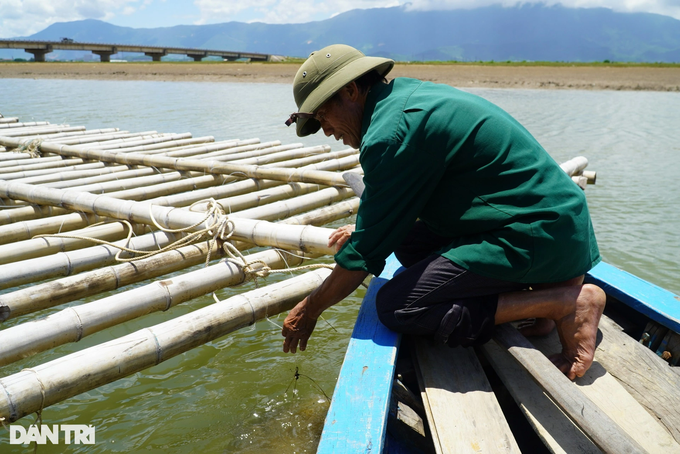 Raising magical seafood on... ropes, collecting tens of millions of dong per crop - 3