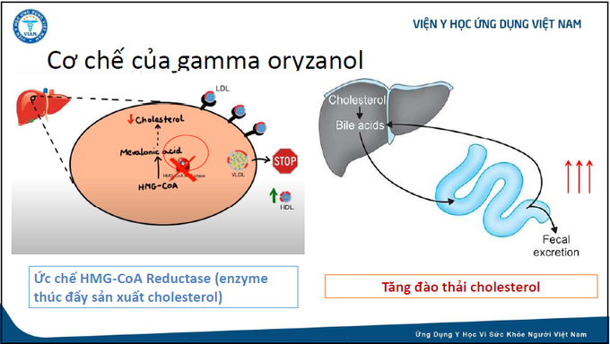 Đừng để tuổi thọ bị rút ngắn vì mỡ máu cao