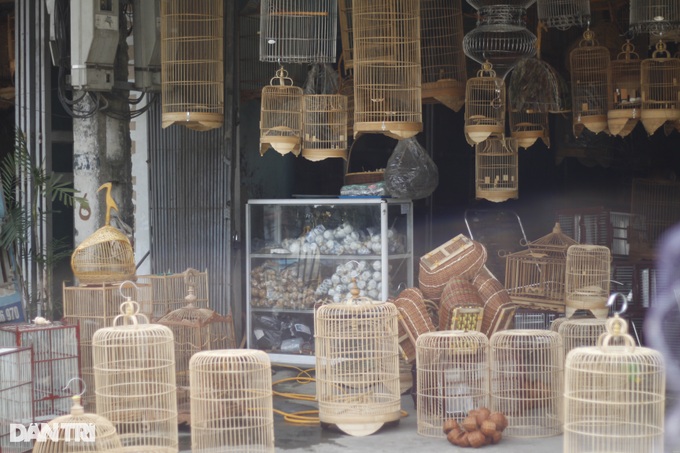 The village built houses for birds, produced 3000 pieces/day, workers did not finish their work - 1