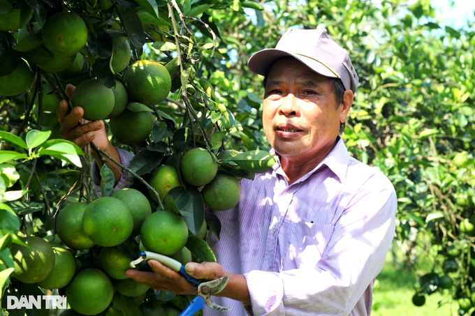 Cải tạo đất đồi thành vườn cây ăn quả, bất ngờ thu lãi cao - 1