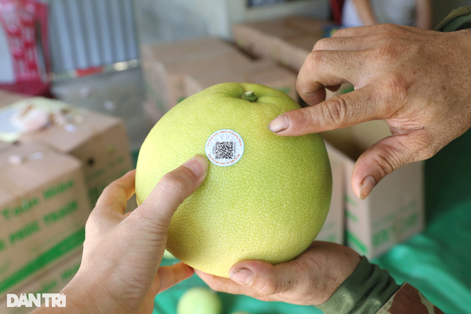 The specialty fruit can be kept... for half a year, collecting a mountain crop with a few hundred billion - 11