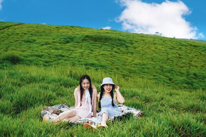 Tìm hiểu với hơn 108 hình nền thảm cỏ hay nhất  thdonghoadianeduvn