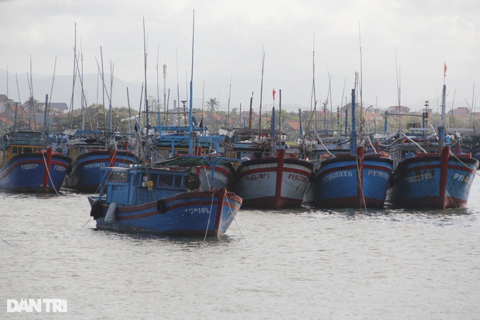 Giá dầu tăng cao, ngư dân lại vật vã bám biển - 1