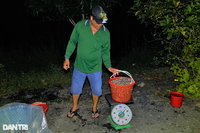 The underworld fish market sells specialties in the floating season, everyone will love it - 4