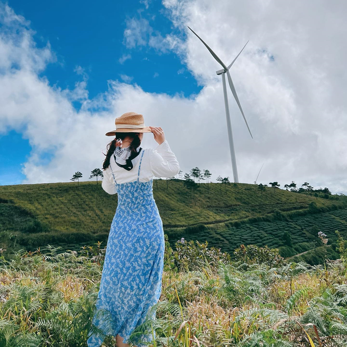 Săn ảnh đẹp ở 5 cánh đồng quạt gió nổi tiếng Việt Nam - 4